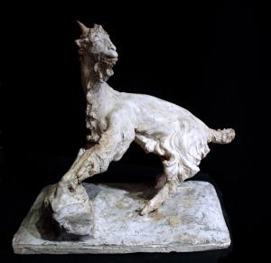 Siccardi Giuseppe (Bergamo 1883-1956) - Capra